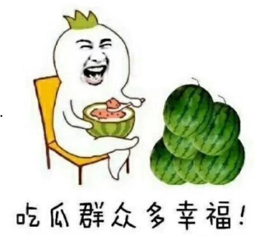 吃瓜娱乐apk,带你领略轻松娱乐新体验